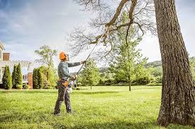 Best Storm Damage Tree Cleanup  in Gurnee, IL